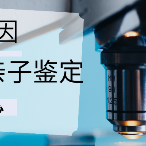 惠州司法亲子鉴定怎么选（附 2026 年正规机构及费用）
