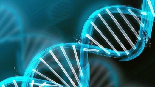 个人亲子鉴定可以在哪里做? 个人亲子鉴定可以在哪里做?
